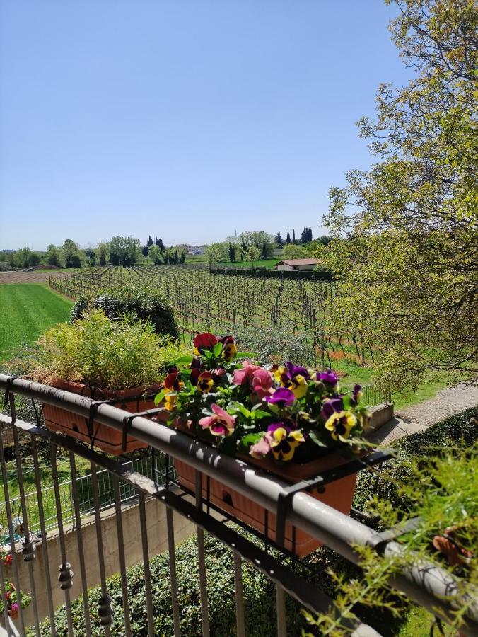 Agriturismo La Vigna Colà Kültér fotó